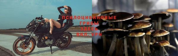 МДПВ Одинцово