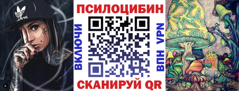 Купить закладки  Кирс  Галлюциногенные грибы Psilocybe 