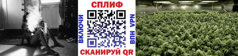 Канабис семена  Купить закладки  Кирс 